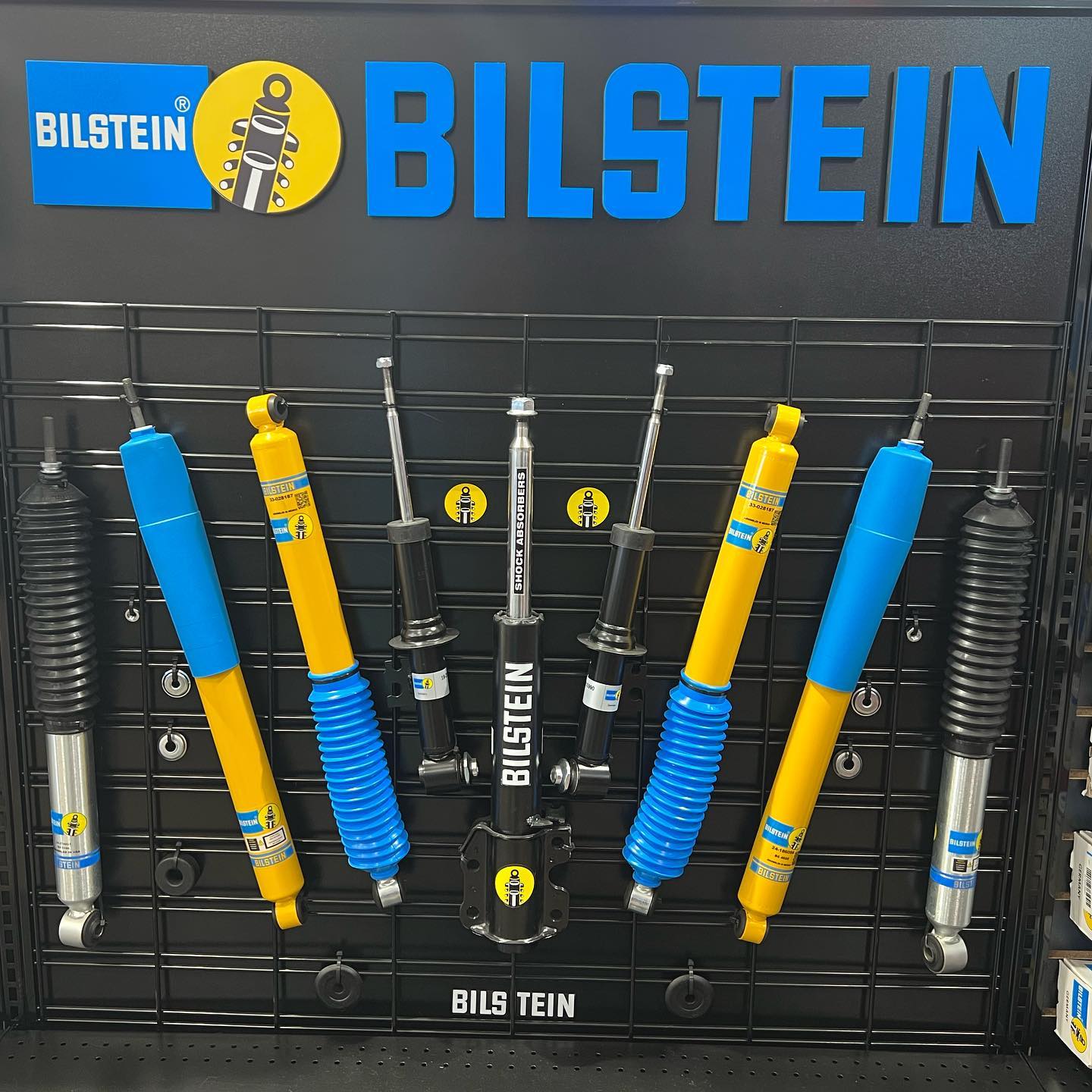 Bilstein Shocks